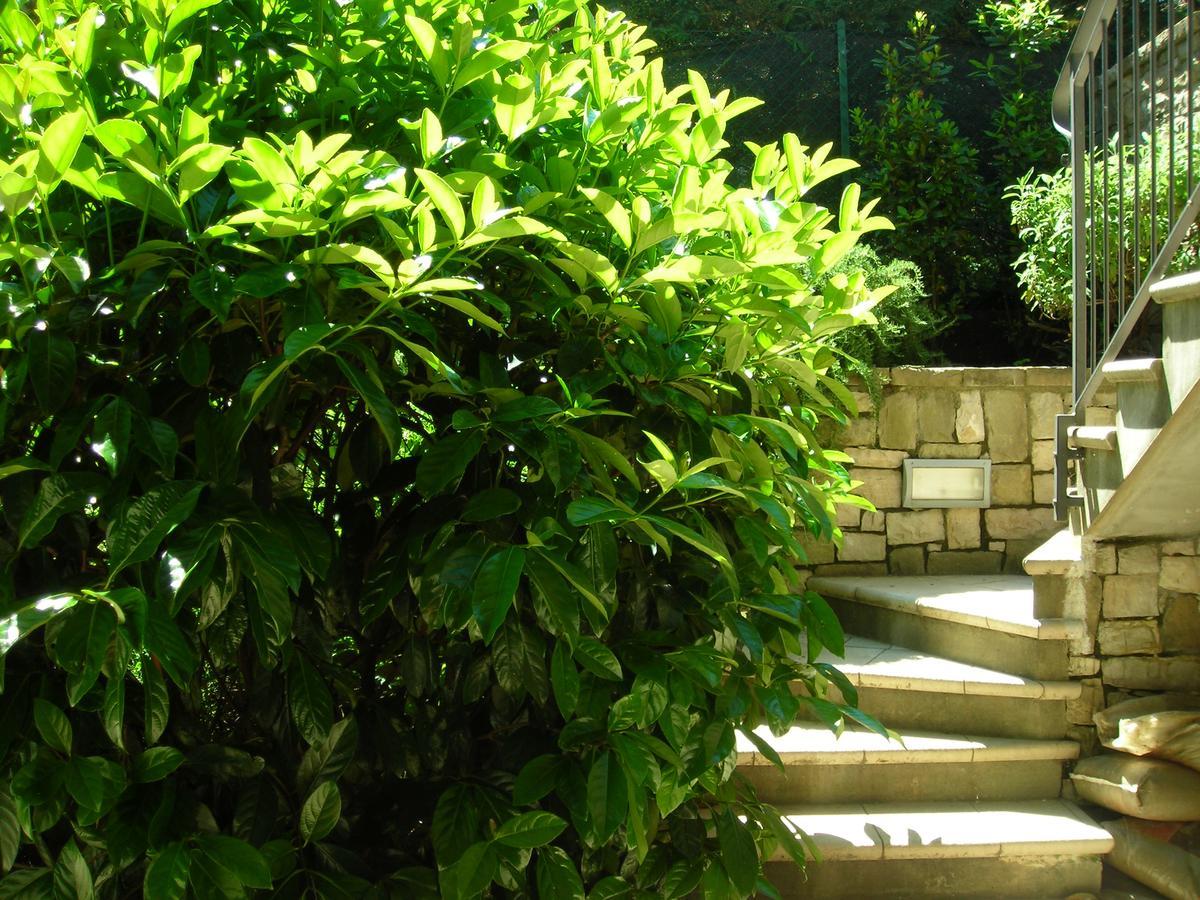 La Folaga Bed and Breakfast Gavirate Εξωτερικό φωτογραφία